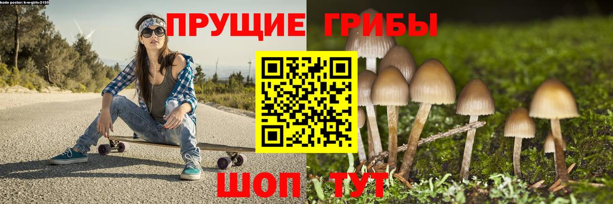 Галлюциногенные грибы Magic Shrooms Соликамск